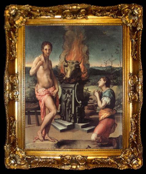 framed  Agnolo Bronzino Pygmalion and Galatea, ta009-2